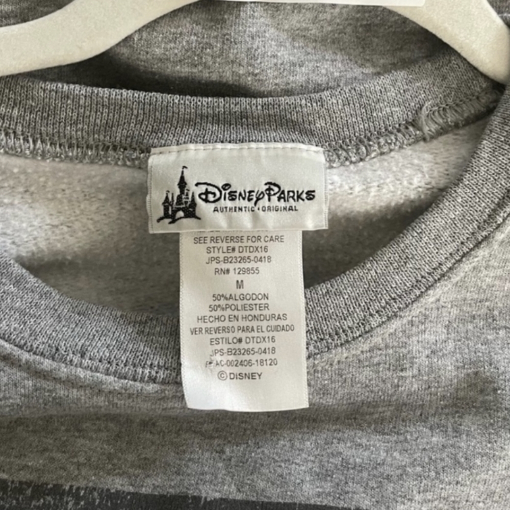 Disney Parks Sweatshirt